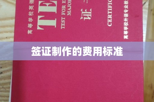 宁远签证制作的费用标准