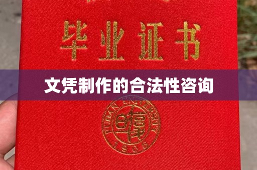 宁远文凭制作的合法性咨询