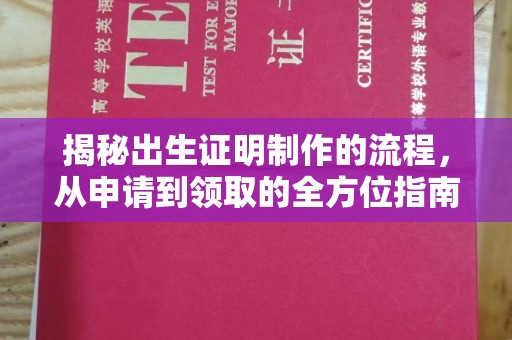 宁远揭秘出生证明制作的流程，从申请到领取的全方位指南