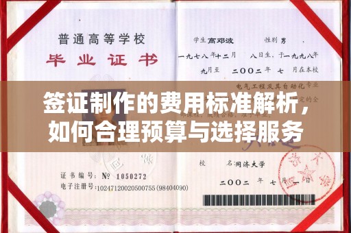宁远签证制作的费用标准解析，如何合理预算与选择服务