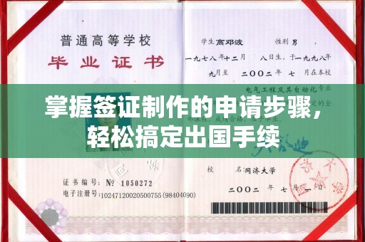 宁远掌握签证制作的申请步骤，轻松搞定出国手续