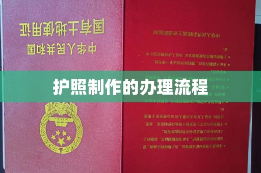 宁远护照制作的办理流程