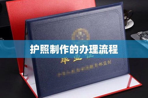 宁远护照制作的办理流程