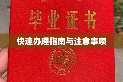 宁远快速办理指南与注意事项